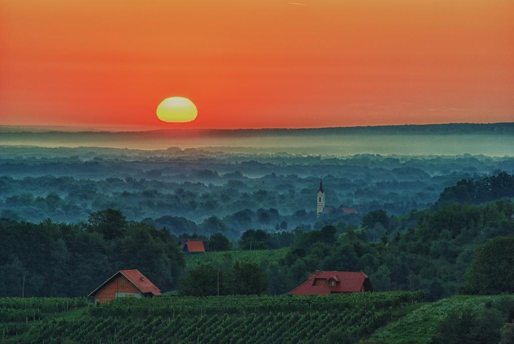 Holiday House Podhamer Marijan Ljutomer Cameră foto